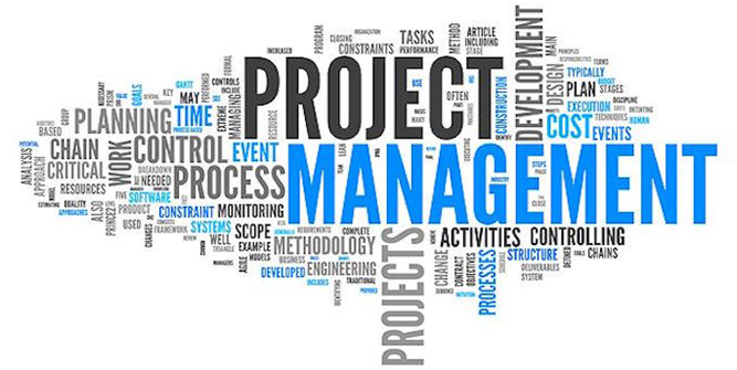 project management professional